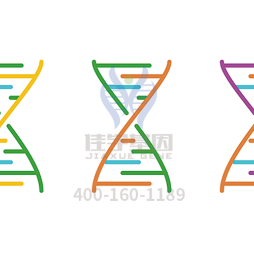【俄罗斯专享会294基因解码-基因检测】你以为你只是情绪失控？有时它叫“<font color='red'>躁狂</font>症”