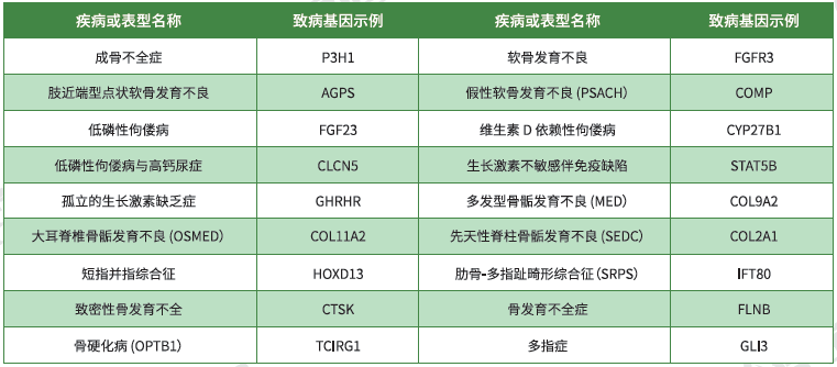 【俄罗斯专享会294基因检测】<font color='red'><font color='red'>骨骼</font><font color='red'>系统</font><font color='red'>疾病</font></font>致病基因鉴定基因解码